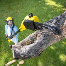 Best Artificial Turf Installation  in Bothell East, WA